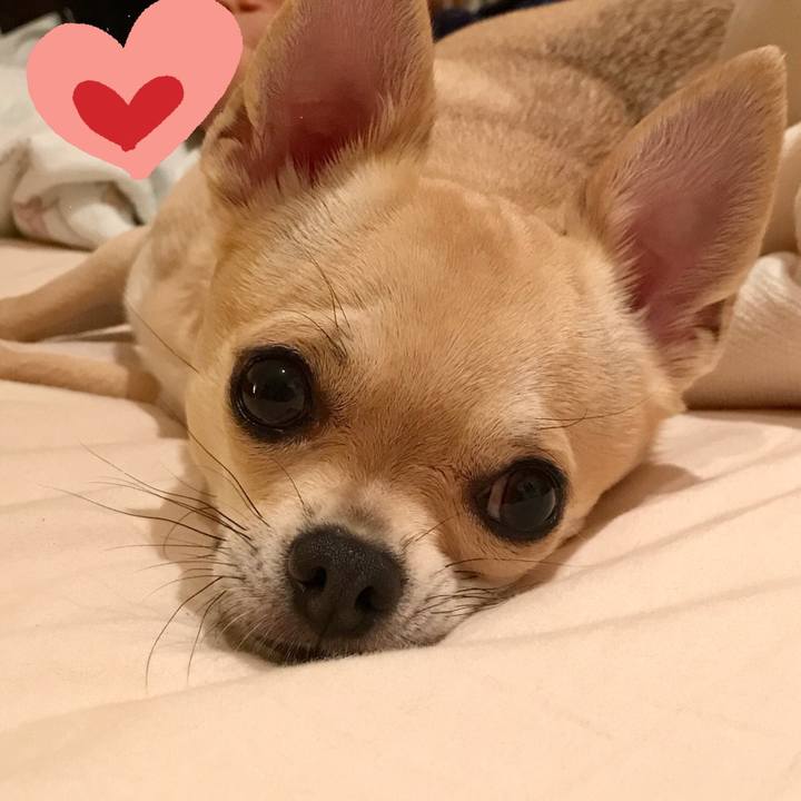 C7587f9f f6ff 422e a157 d98e2668df80