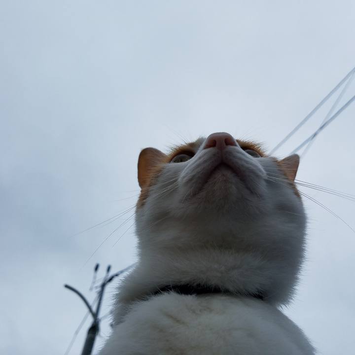 C7588151 3cfb 40ae b5de 5fd1756e79fa