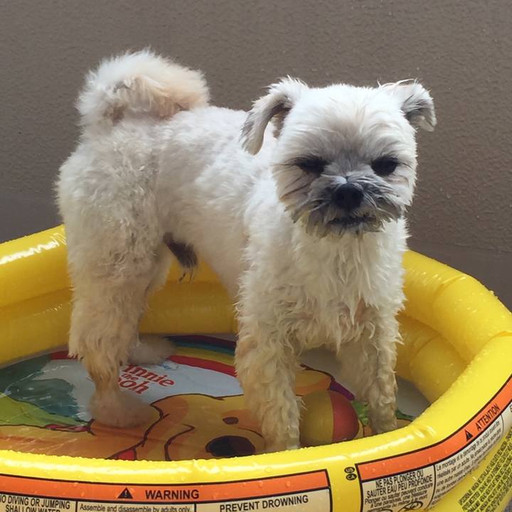 C758b87c 53e8 4e11 a3a6 3939848f0593