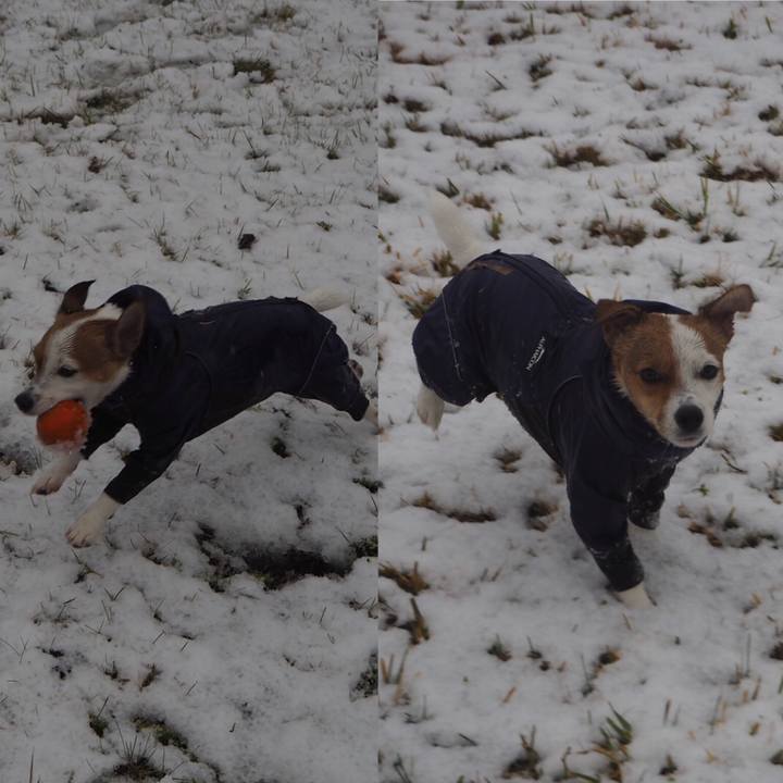 C759170a 2c64 4521 a773 782d31e8d6a0