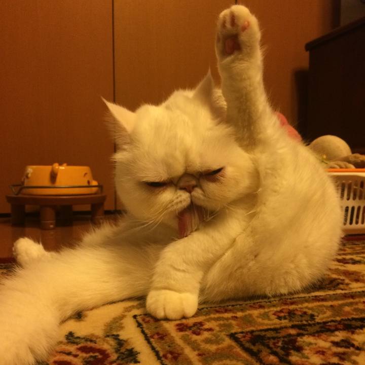 C7592d16 b1e5 4488 9c5b 5775038e2617