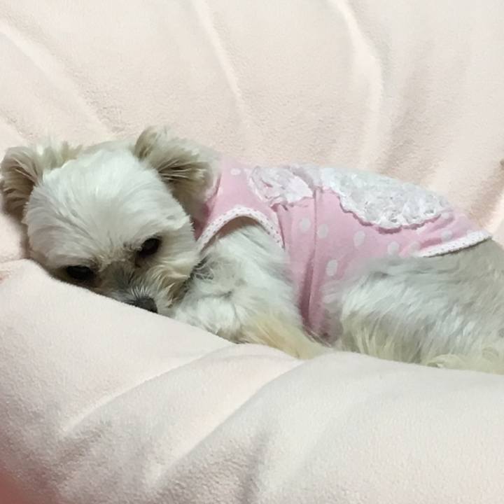 C759a5c3 b46e 4de5 8901 a8bc2ab08003