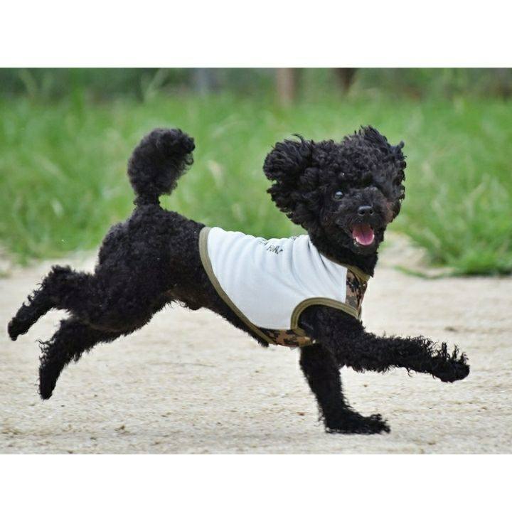 C75a1a05 978c 4fba a47a 7ceffc6c0341