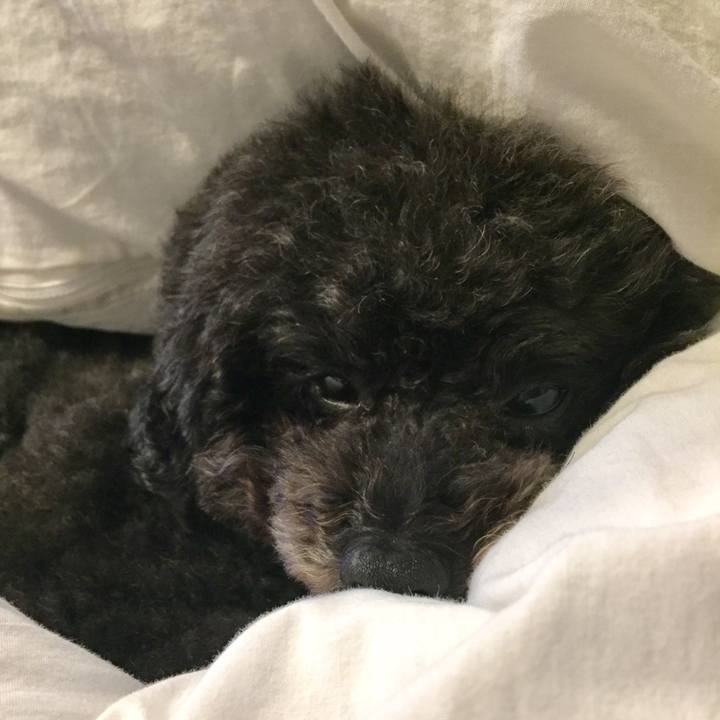 C75a22b0 10f0 4df8 88c1 ef356a2f1991