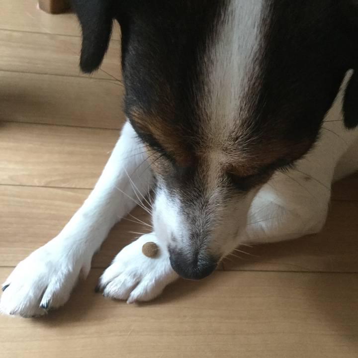 C75a375e 9146 47ec be7e 96cfd76c9d72