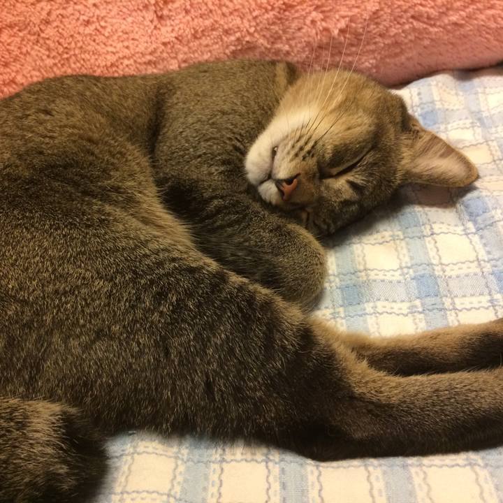 C75a66cb dbf2 4e90 b8c9 cb7afe952bac