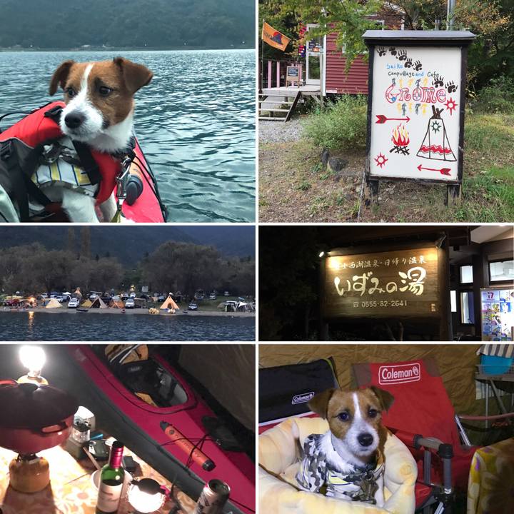 C75aaea8 412a 4858 8b38 a20aed98ac26