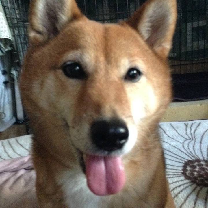 C75aeead a89b 4f69 8a65 36a2a2fb60b7