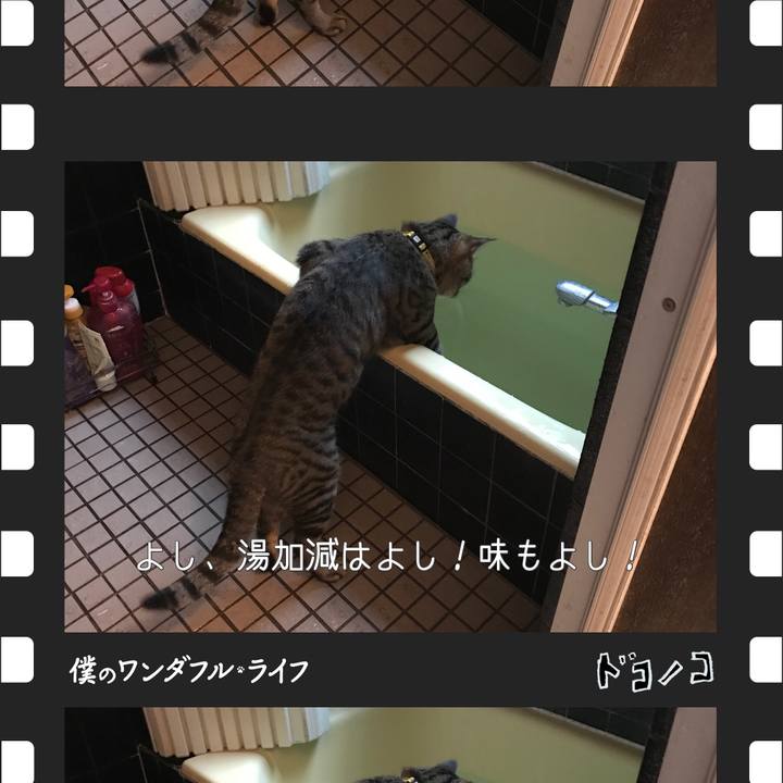 C75afa4e 9bb8 4281 9a23 0e5fea6b13d1