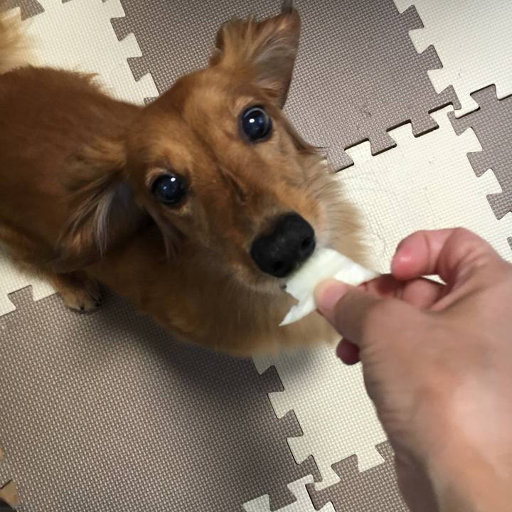 C75b0891 79f3 46c2 b6db e4f06f3c3f27