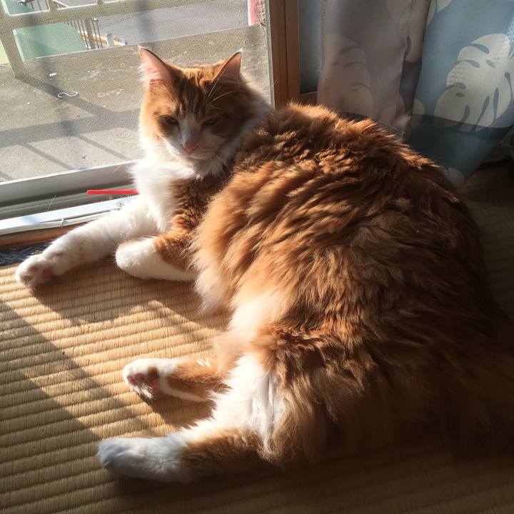 C75b23dc a4bb 4126 82c3 c60a2f208b8a