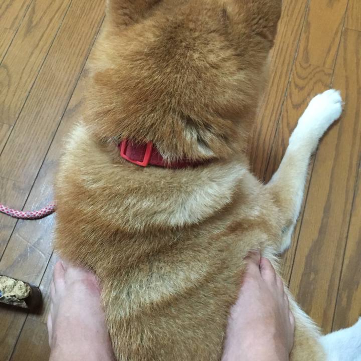 C75b6fda 03ba 44e0 830e 2e8f82f3d510