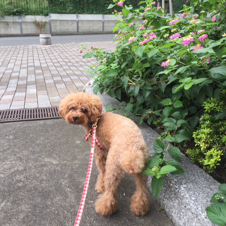 C75c09de 3276 46b5 8d29 77c4d57e17f6