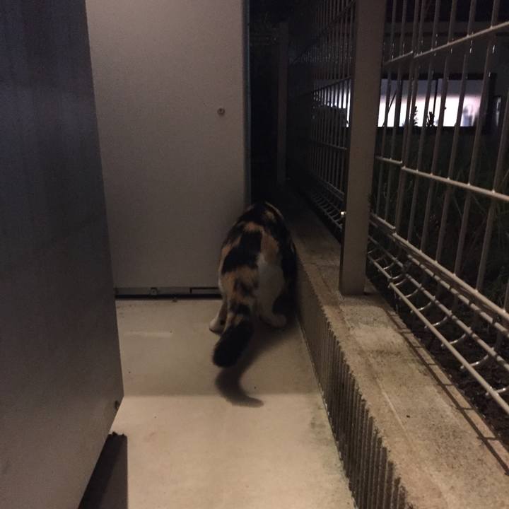 C75c5a6a 6060 43cc ae4e 8e66ebf8ac64