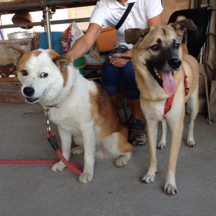 C75d161b 2d92 4307 997c 74580e4ef0ce