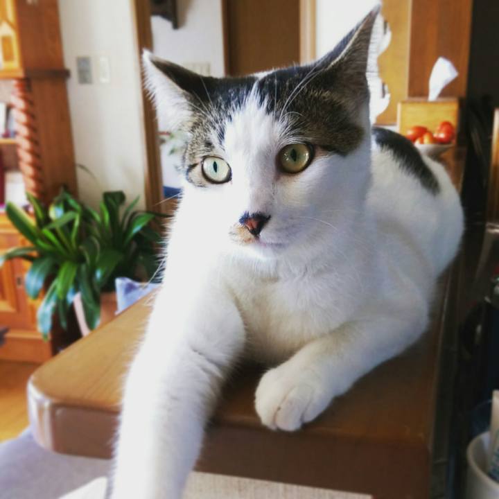 C75d6bcf 7a80 4973 9862 4d1a1e268175