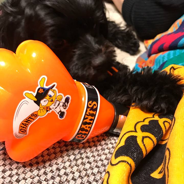 C75dbf7a b19b 4e04 a2c7 4c5b31e06d68