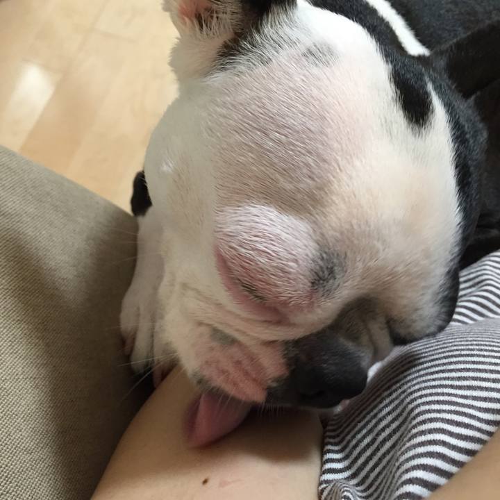 C75e311b 803f 4241 9990 aeb1c7d25b3c