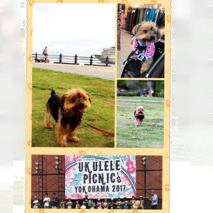 C75ebc82 e60d 4aa7 b504 e957931a6c2c