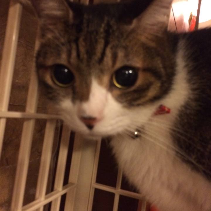 C75f6491 47b1 43c3 b3d4 cc4d7cf11005