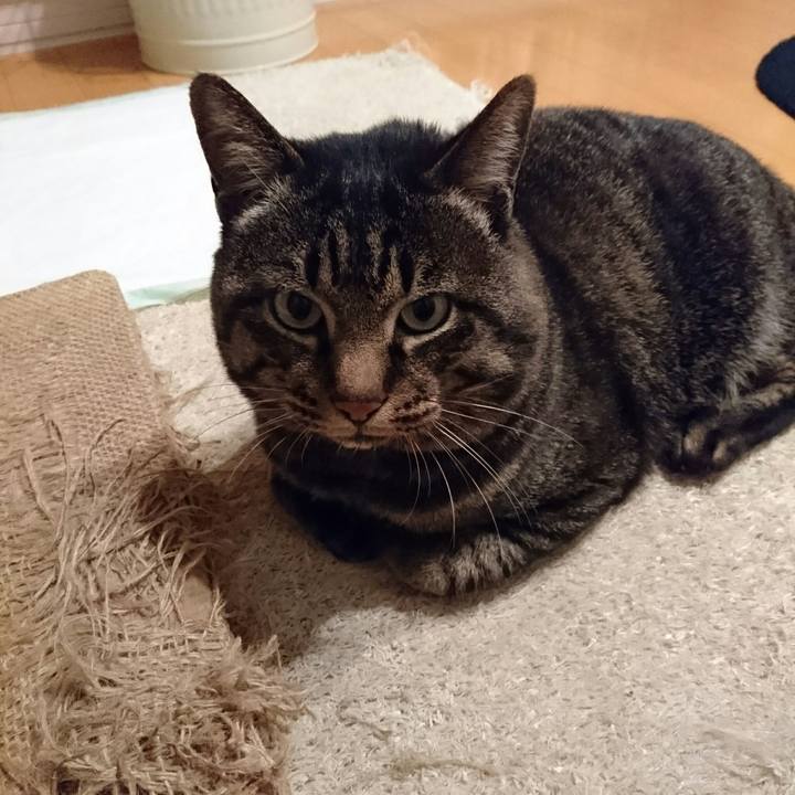 C75fca4e dc03 4bff 9e8f 182da5623b65