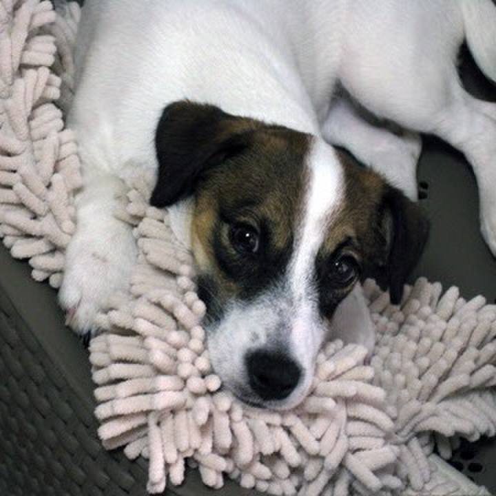 C760fa25 d546 4954 9924 6d2ea8812191