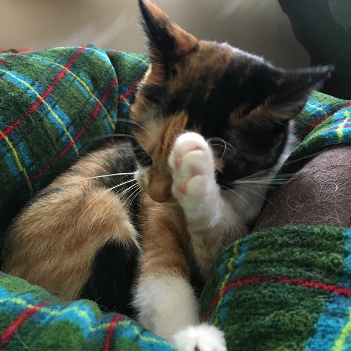 C7613683 ee55 4442 8390 6442c46367d8