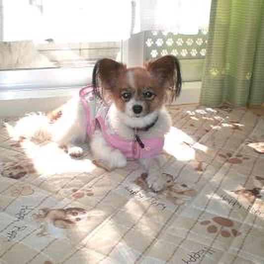 C7615b5c 0e24 48a6 8700 c65ddd20b4c8