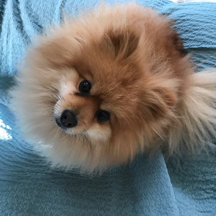 C761fbe8 46a8 4b34 88a2 b4cfabd91ce8