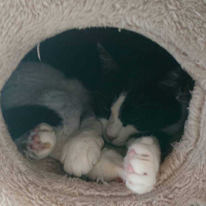 C762023e ae65 4474 8dc6 c65a937fa53e