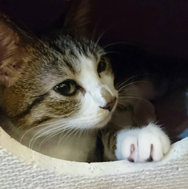 C7627cf9 62ae 44ee a0c3 29f2381abc8a