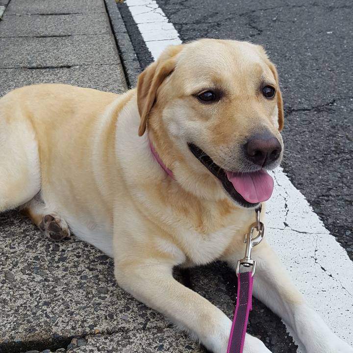 C76319c5 31ff 4d0b b16c a2ed85c8cff2