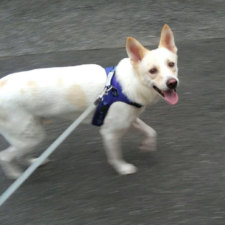 C763740f 65c4 484a a68a 48db2187edb0