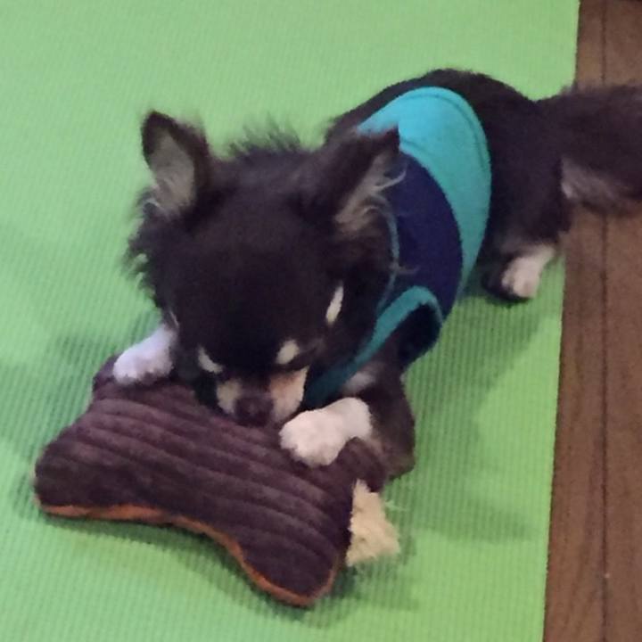 C763a345 e492 4a3f 9dbb f0658c47f275