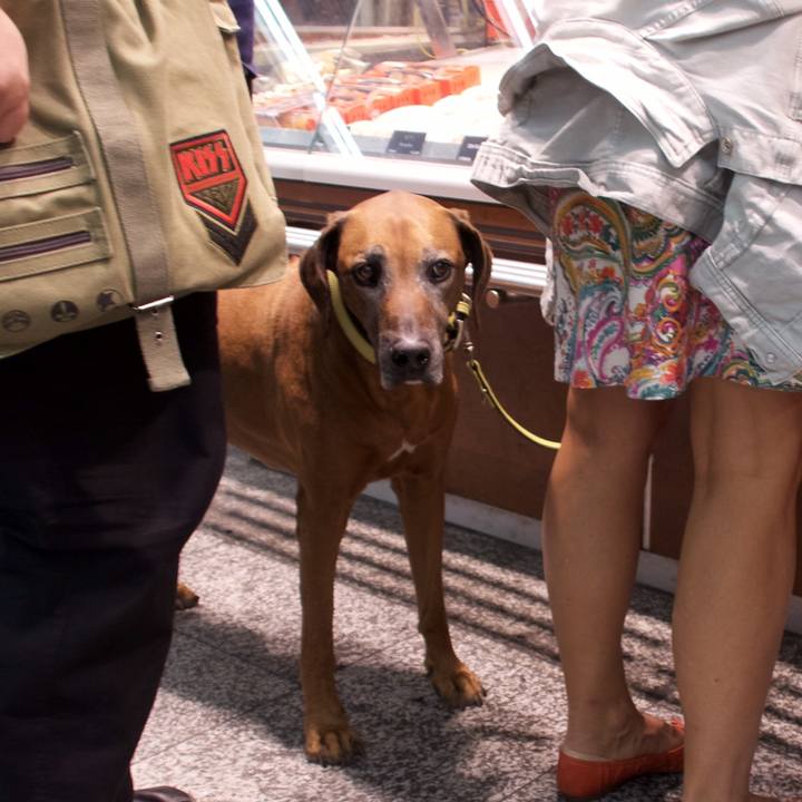 C76412dd 22b3 47ab b033 ce1995afffc6