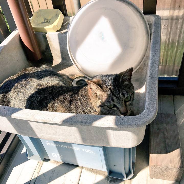 C764878d 348f 481c 9778 ad73fbaca872