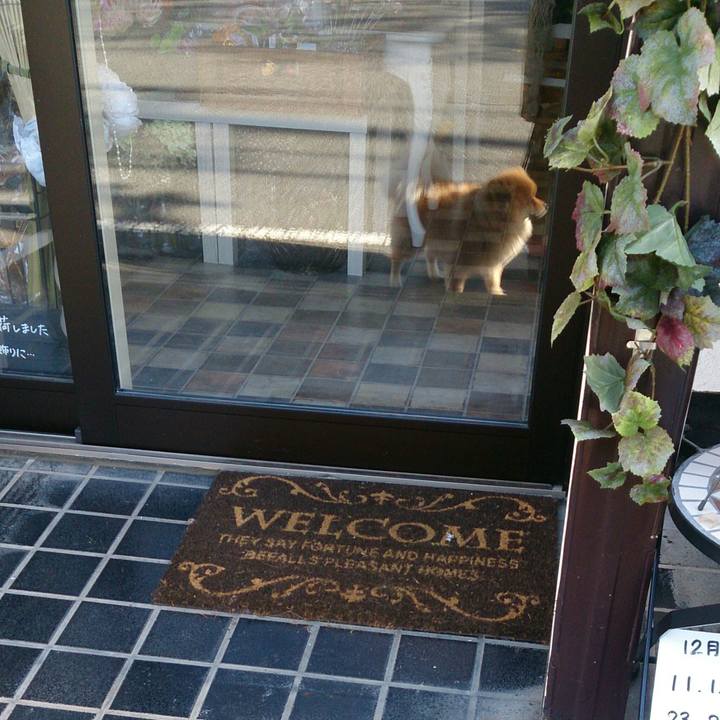 C764a16f 71f8 4b87 ad28 8b73840603e7