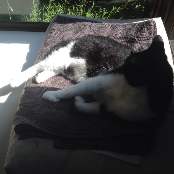 C7651920 9ab8 49b2 b450 c296b03488b5