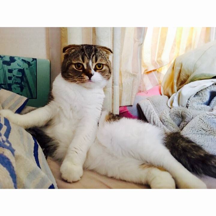 C7652056 887f 4f67 ac4e ae2b13eed07b