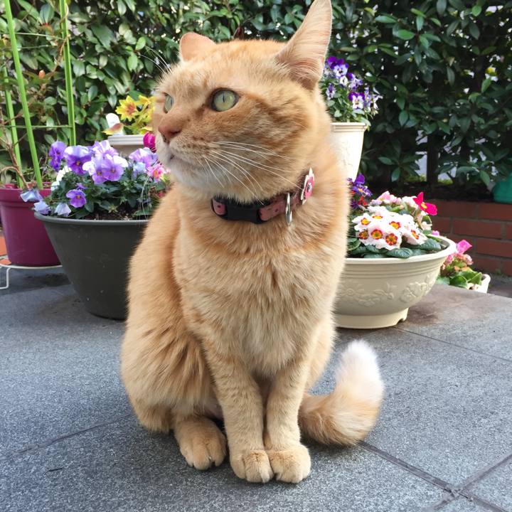 C7657934 1f3c 4664 b039 b5470750d1b9