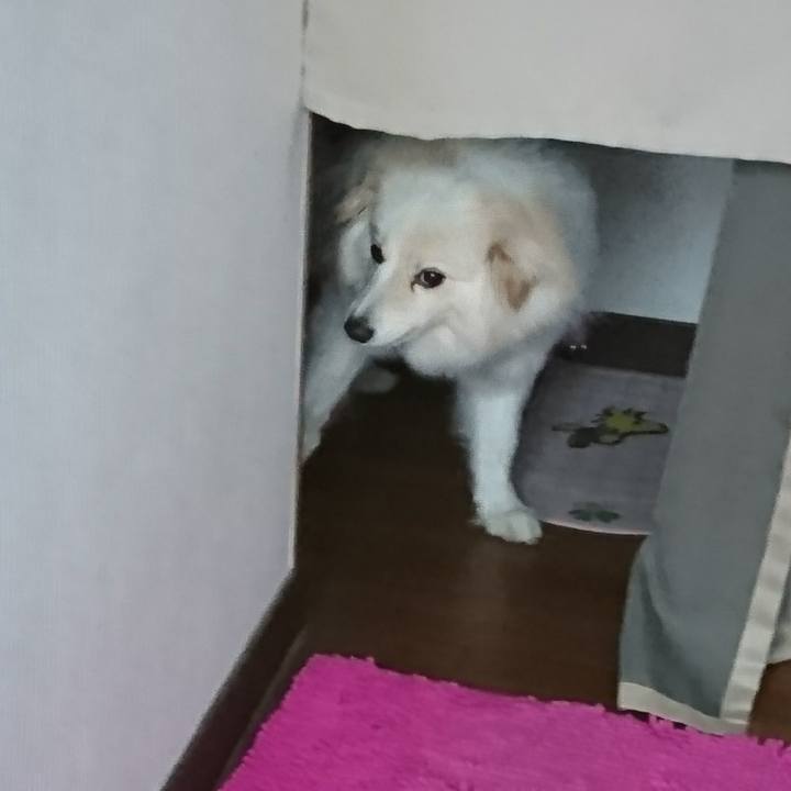 C7660e80 c7f7 434d a2fb 4e95a856dbbf