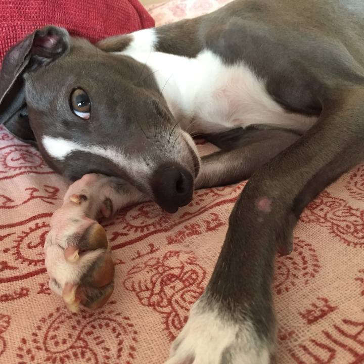 C7668e33 d538 42ea bff1 f7e9aebbcae4