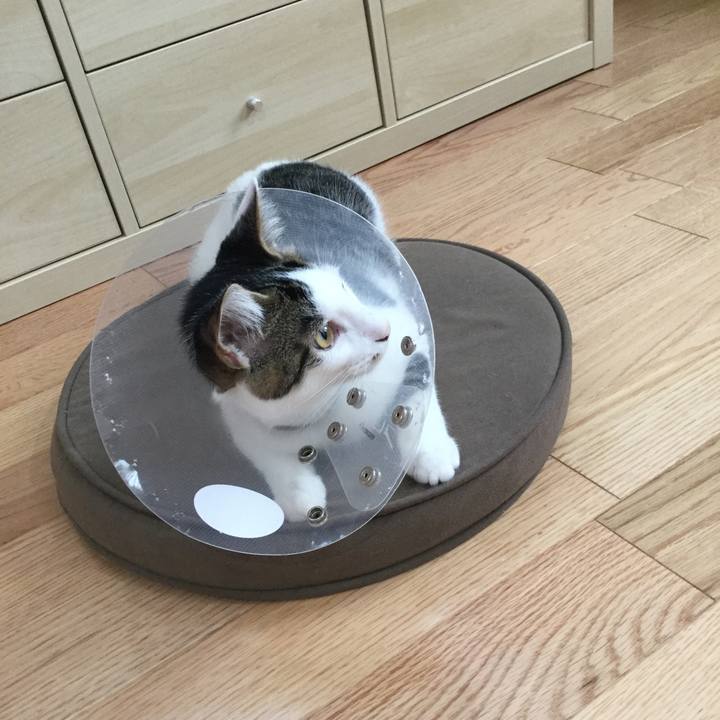 C7674938 2d98 4654 adc1 4c154db53c5d