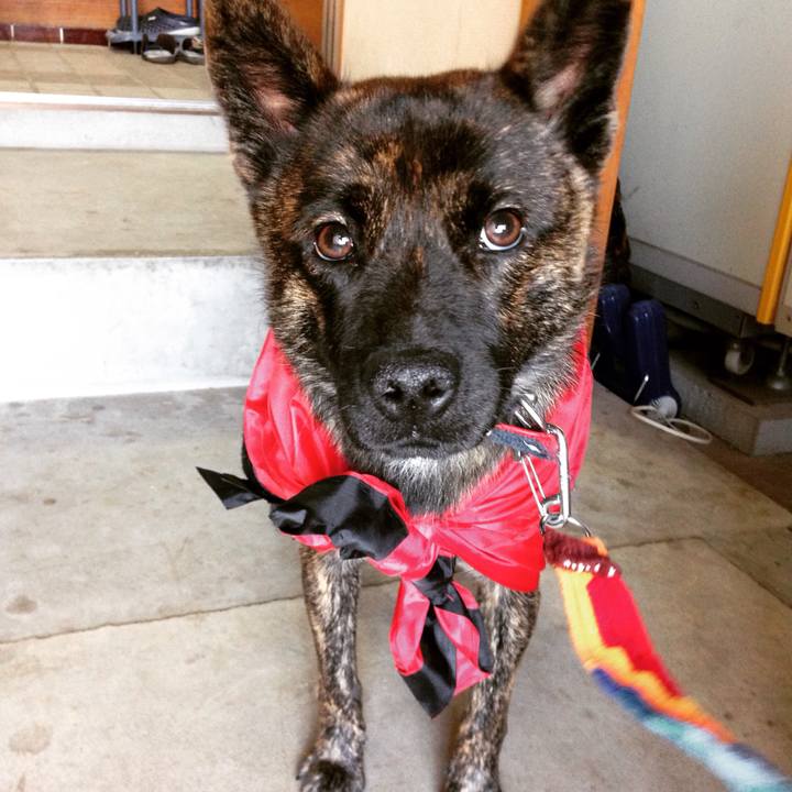 C7675937 70f6 449a 9a34 7c43ff59375e