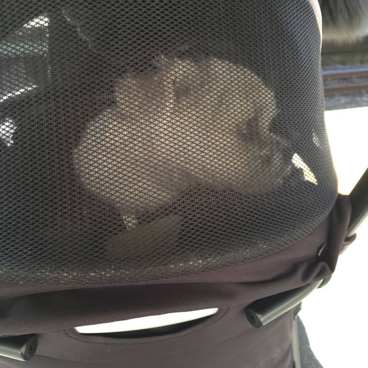 C7676055 1e37 4601 b528 d1305ed818a2