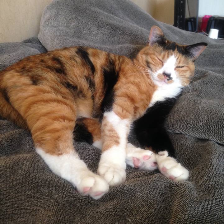 C7677a1b 6d3d 4dc8 8862 9b3983088c59