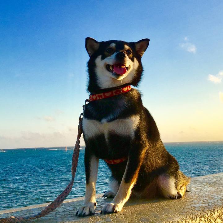 C767bded 8b33 4f3a ae51 c1d8ca42ae62