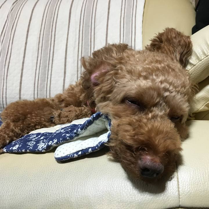 C767beb6 8687 4025 bfcd 71c70ba96f37