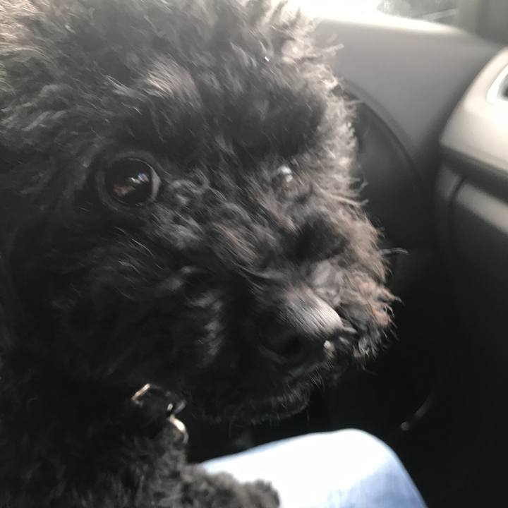 C7681250 3f2d 42b7 91a9 70e9b2add915