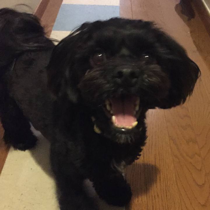 C7682c02 cf13 4214 b813 88f8511aa6d3